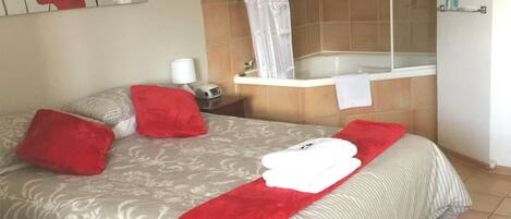 Assecador de cabells, tovalloles, sabó i xampú