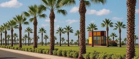 Terrein van de accommodatie