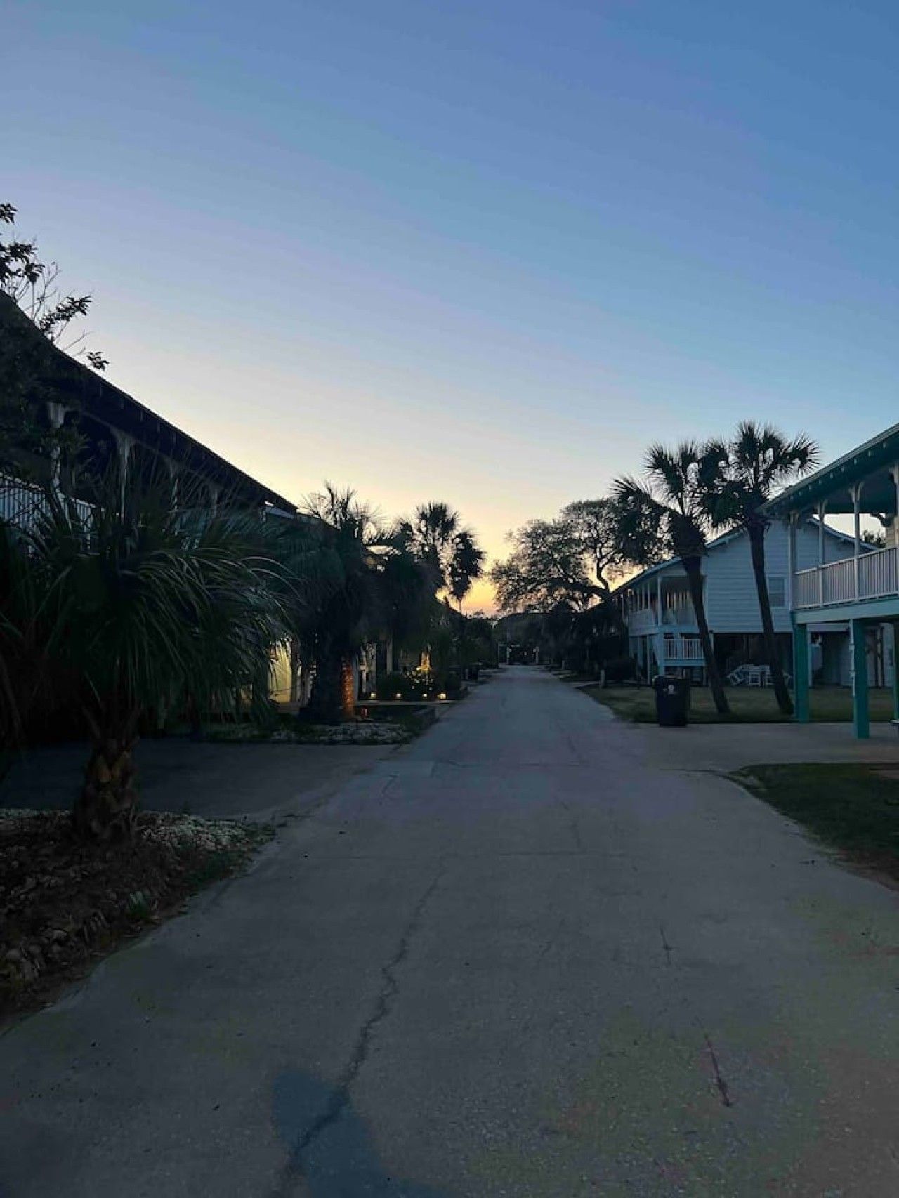 A residential street lined with houses, a clear sky, and palm trees.