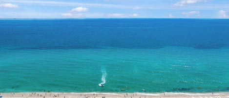 在海滩