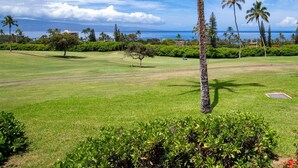 En golfbana med fri utsikt över havet och palmer.