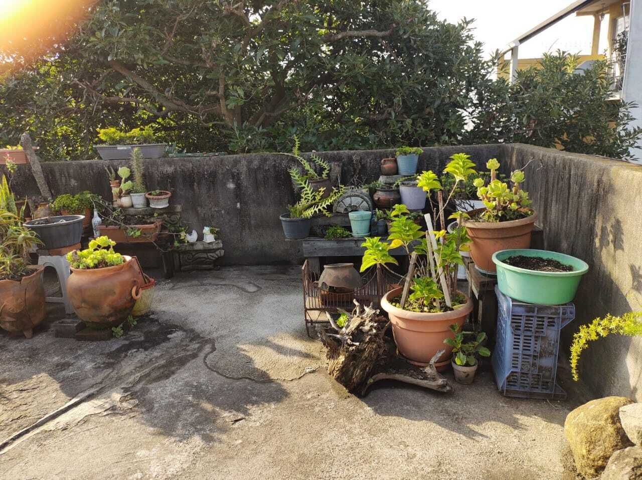 Photo - Habitaciones Eco-Terrazas