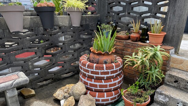Un jardín en la azotea con diferentes macetas, una jardinera de ladrillo y un cerramiento de celosía.