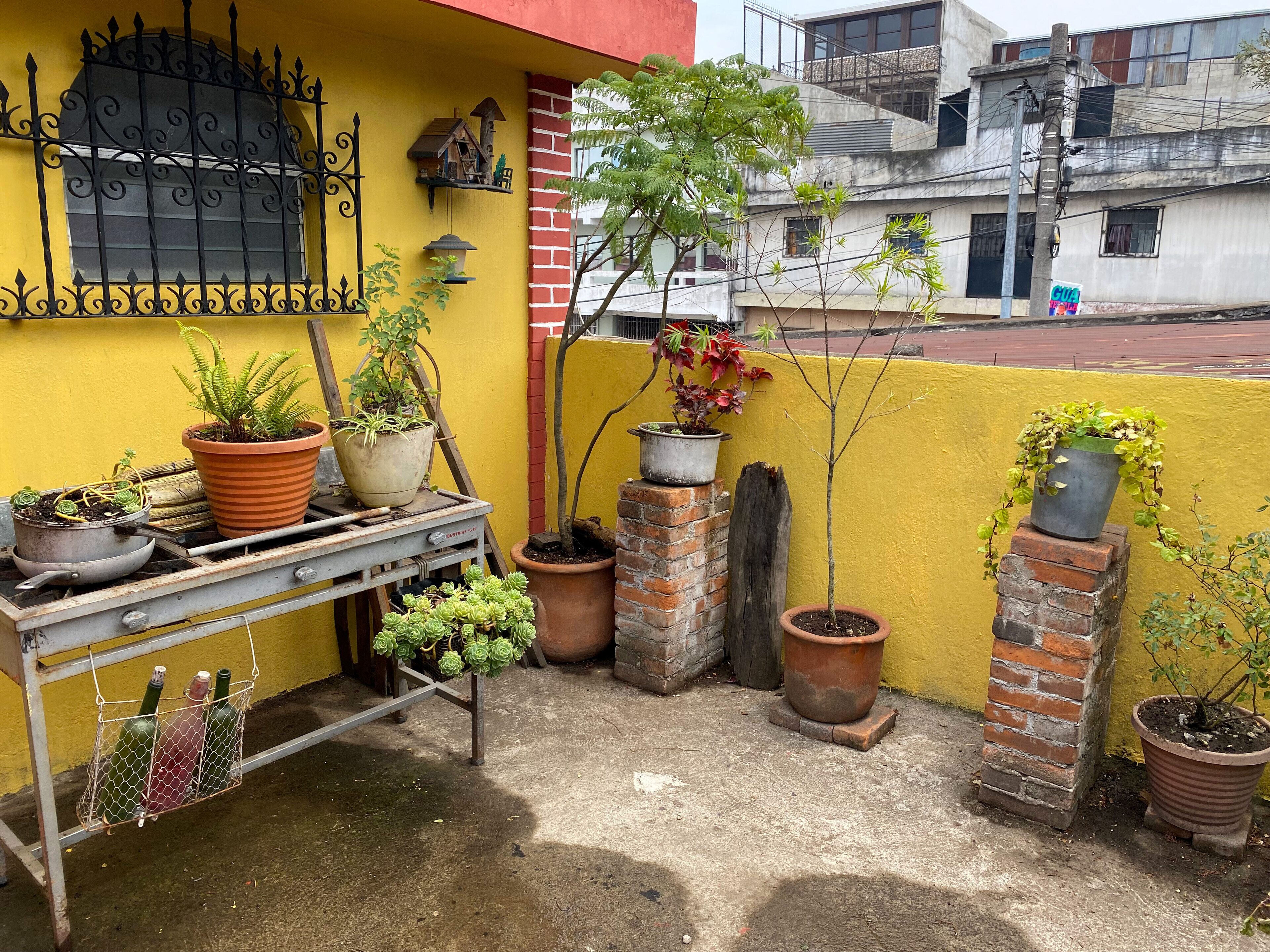 Foto - Habitaciones Eco-Terrazas