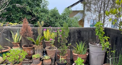 Habitaciones Eco-Terrazas