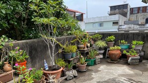 Un jardín en la azotea con diferentes macetas y un árbol grande.