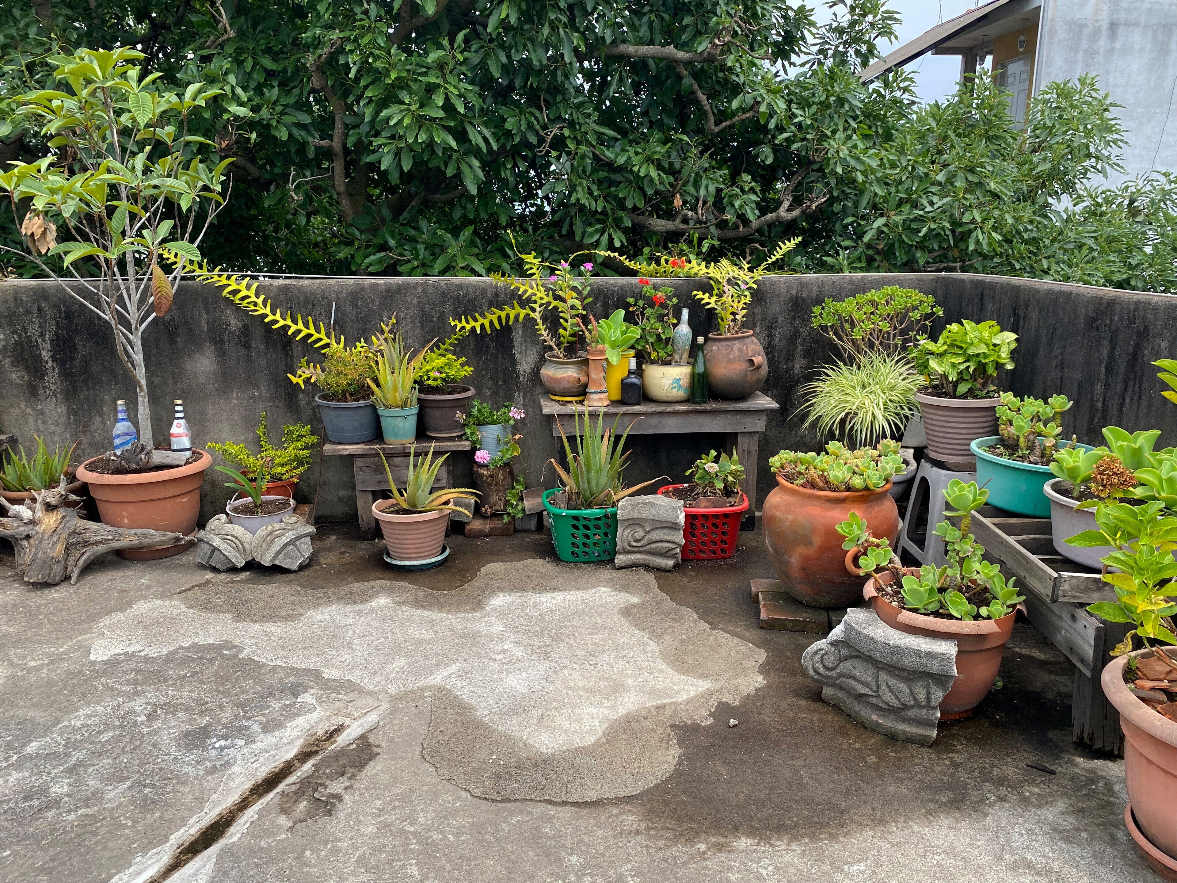 Photo - Habitaciones Eco-Terrazas