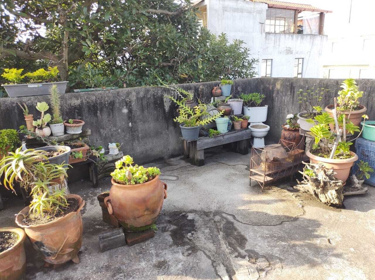 Photo - Habitaciones Eco-Terrazas