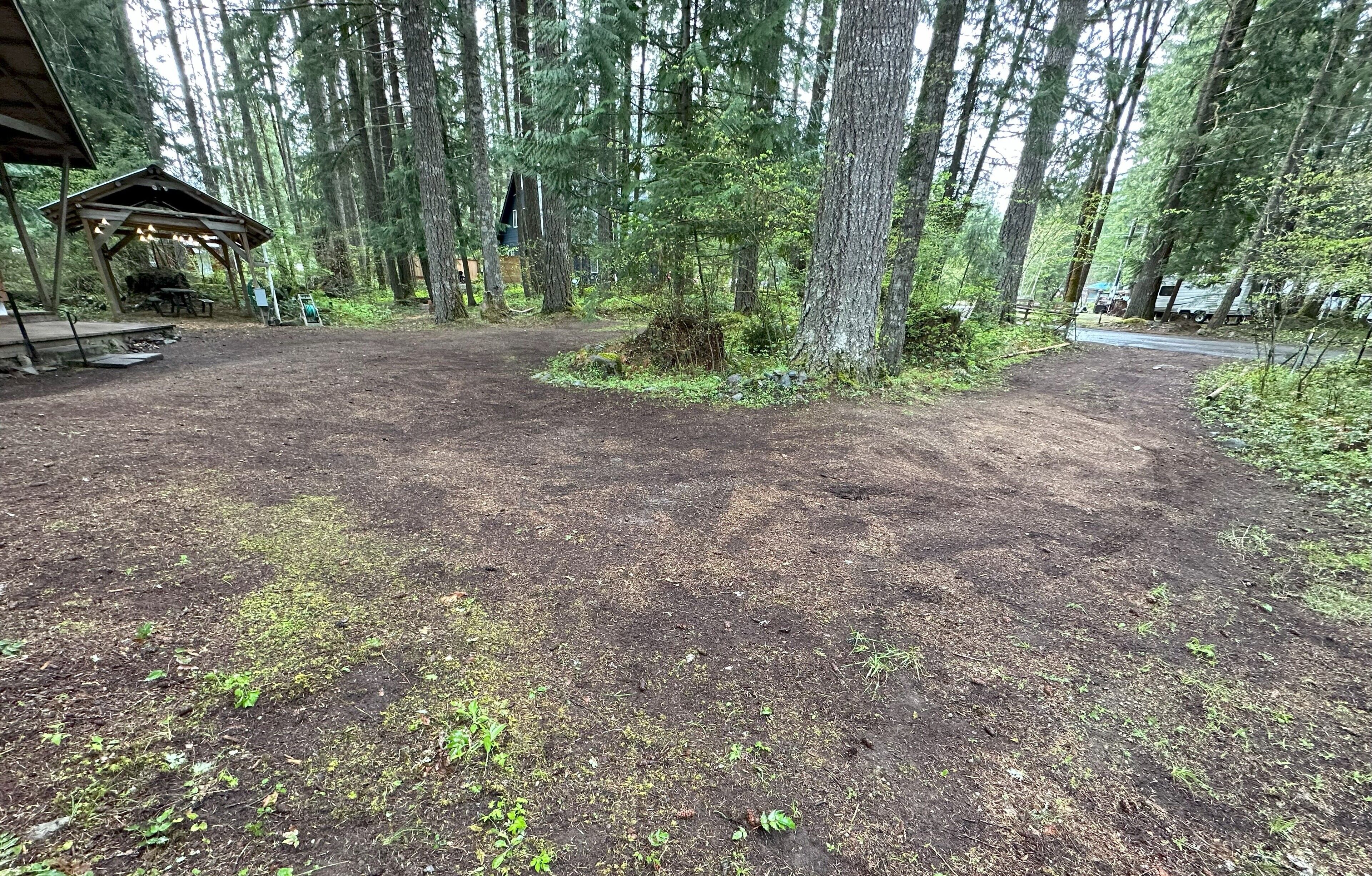 Private RV parking at the base of Mt. Rainier.  Have the forest to yourself!