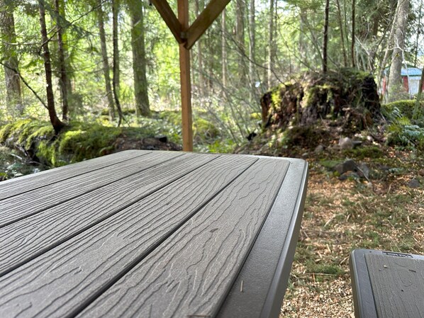 Outdoor dining - Private RV parking at the base of Mt. Rainier. Have the forest to yourself! (Packwood)