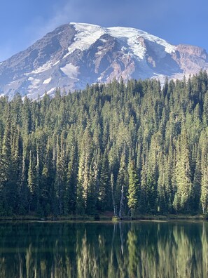 Miscellaneous - Private RV parking at the base of Mt. Rainier. Have the forest to yourself! (Packwood)