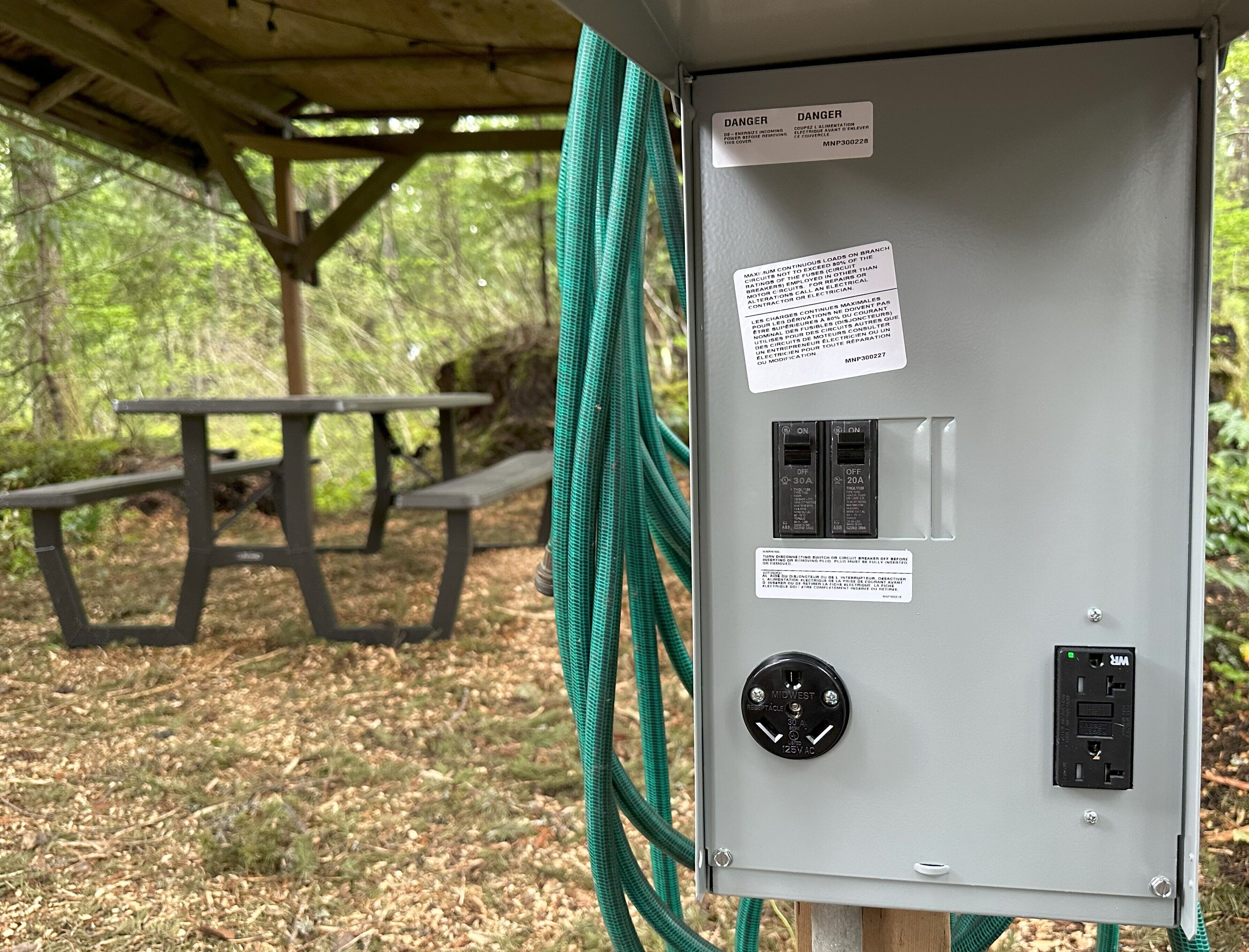 Private RV parking at the base of Mt. Rainier.  Have the forest to yourself!