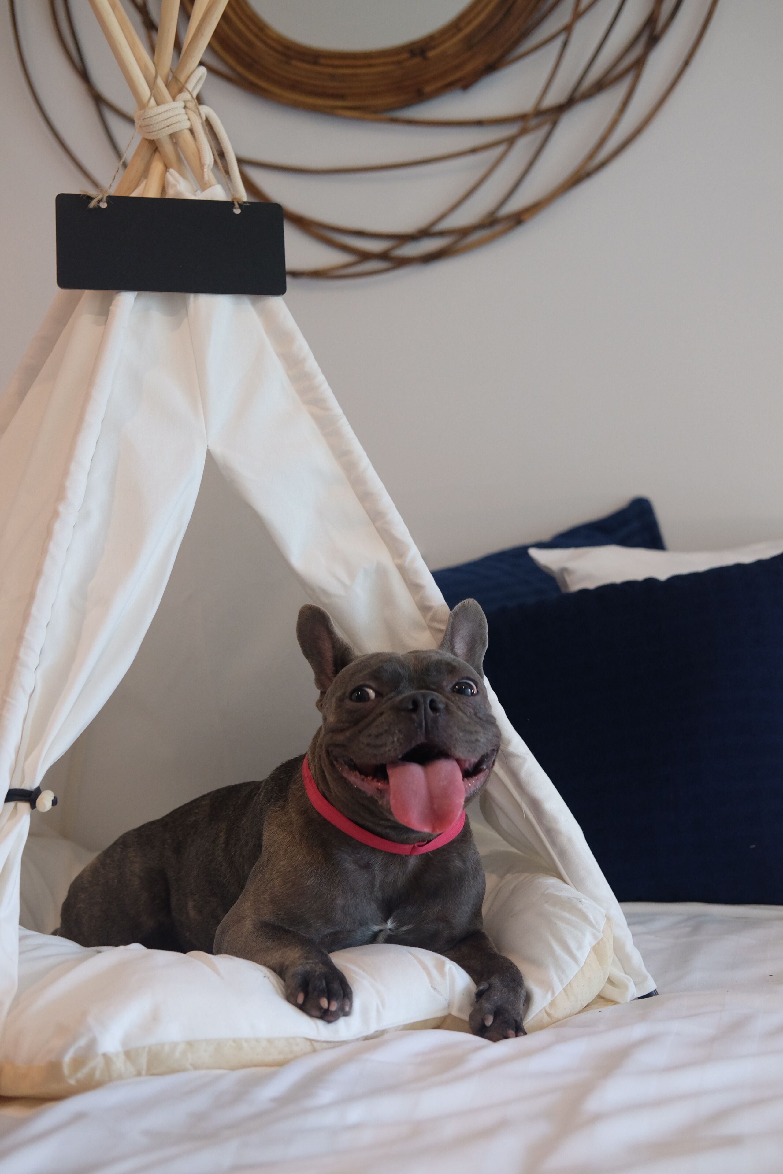 Photo - Kraam Silhouette Hotel and Cafe Phuket- Chalong pier Hotel