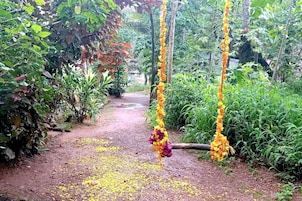 Jardín