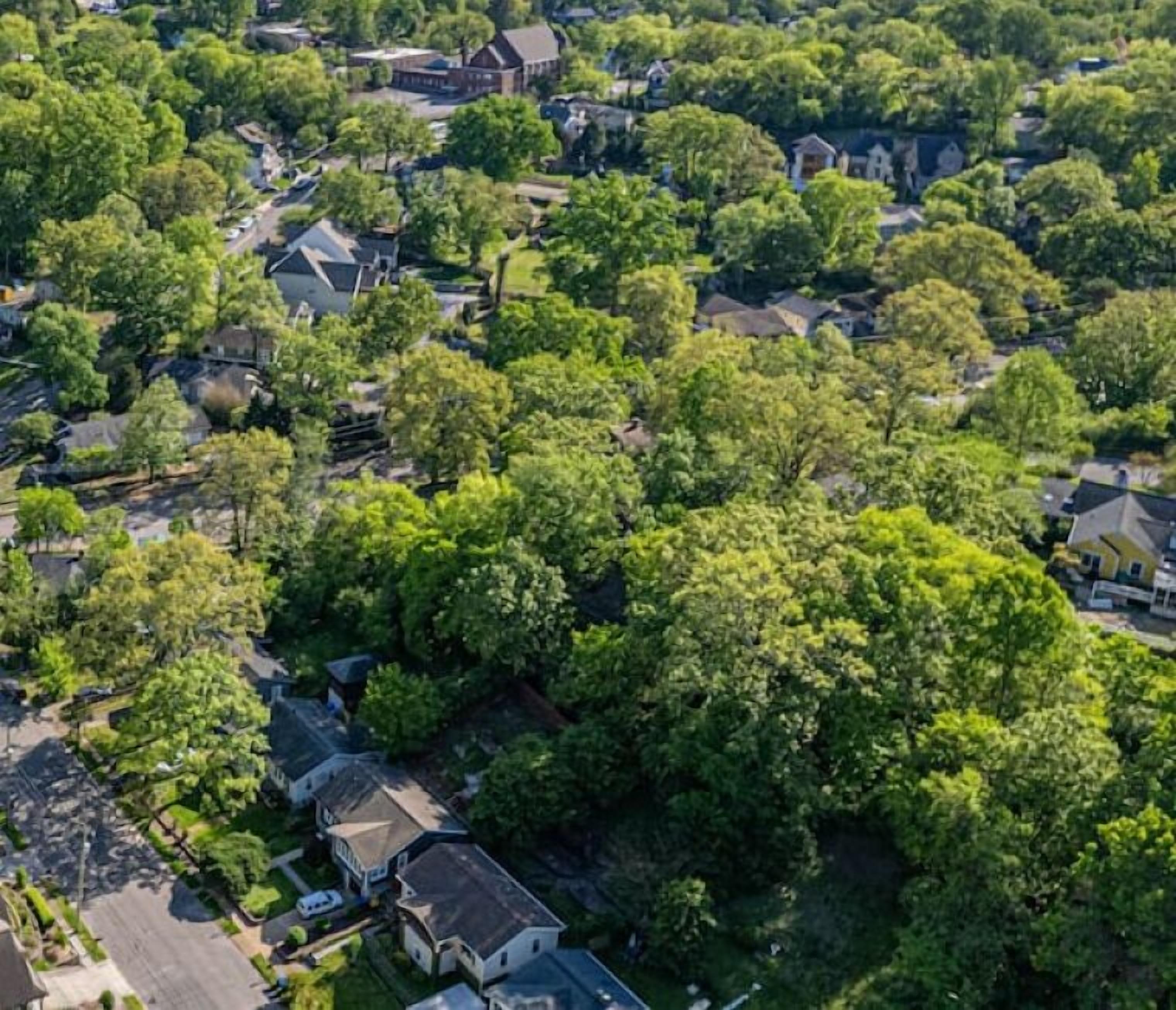 Vue aérienne d’un quartier résidentiel où les maisons sont entourées d’une végétation luxuriante.
