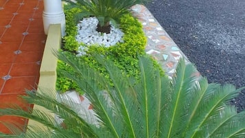Vườn