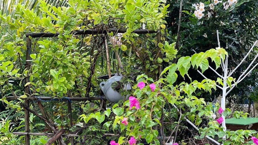 Milles Montagnes Residence