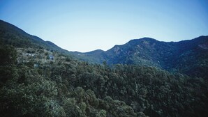 Un paisaje montañoso con denso bosque y algunos edificios a lo lejos.