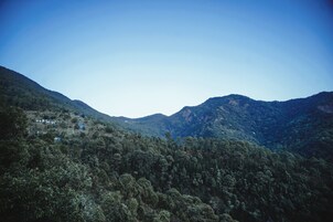 Un paisaje montañoso con denso bosque y algunos edificios a lo lejos.