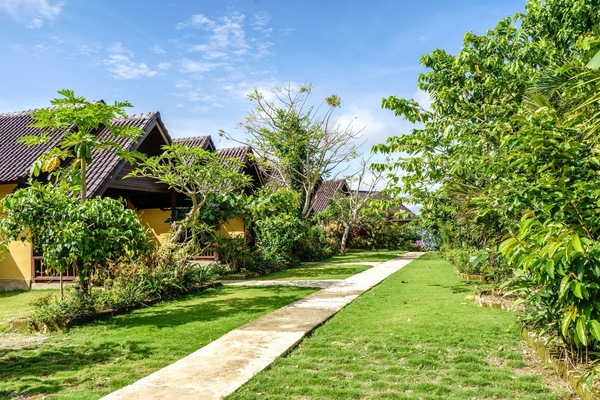 Garden,Exterior