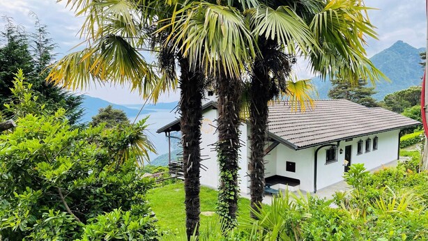 Un bâtiment blanc, surmonté d’un toit en tuiles, entouré d’une végétation luxuriante et de palmiers.