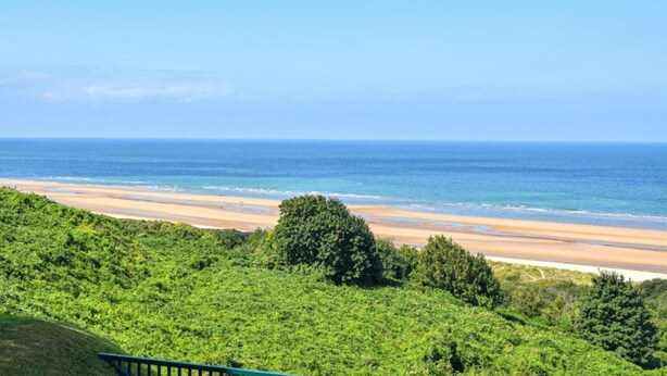 Ein Strand mit freiem Blick auf den Ozean, umgeben von üppiger Vegetation.