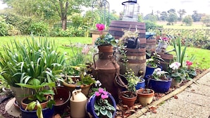 Ein Garten mit verschiedenen Topfpflanzen und einem rustikalen Wasserspiel.