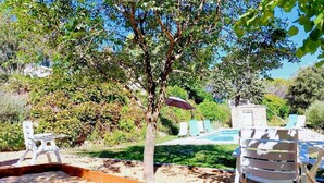 Un jardin avec une piscine, des chaises longues et un arbre.