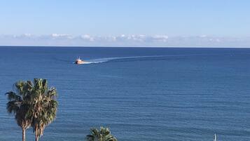 Vista da propriedade