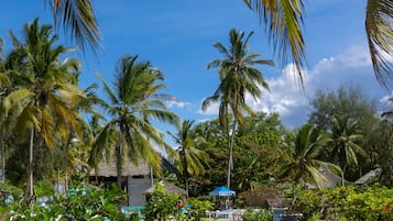 Outdoor pool, pool umbrellas, pool loungers