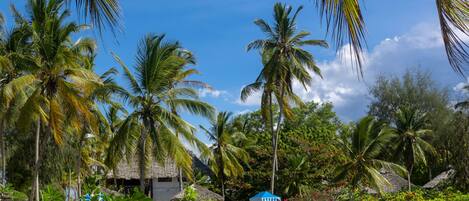 Outdoor pool, pool umbrellas, sun loungers