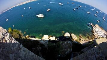 Studio (2 Bedrooms) | Interior