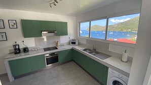 Une cuisine compacte avec des meubles verts, un four encastré, un four à micro-ondes et un évier. Une fenêtre offre une vue sur les bateaux et un paysage montagneux.