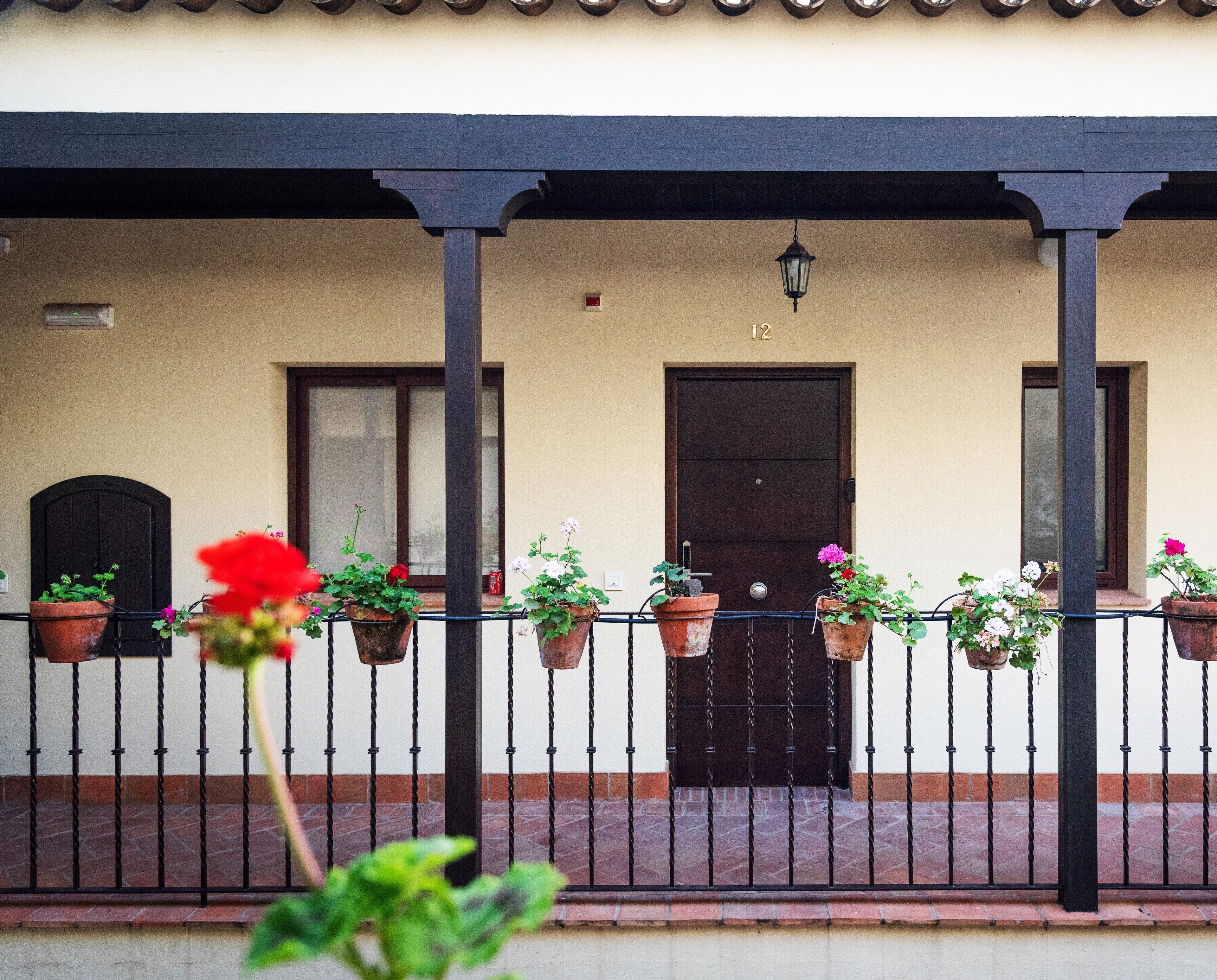 A building facade with a beige wall, a dark brown door, and a balcony with potted plants.