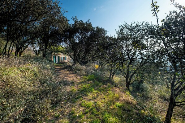 Property grounds - 3 Bedroom Private vacation home in negrar di valpolicella (negrar di valpolicella)