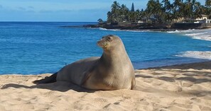 En la playa