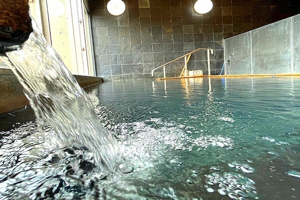 Hair dryer, electronic bidet, towels, shampoo