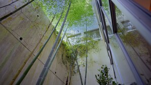 A view through a window with bamboo plants and a concrete wall. - Jisco Hotel Obama Onsen (Unzen)