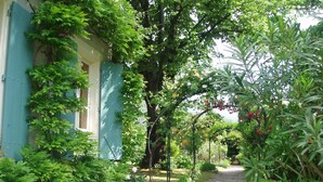 A narrow stone pathway flanked by lush greenery and a blue building with a window. - La Cerisaie (Riols)