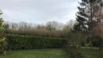 A grassy outdoor area with a hedge, trees, and a wooden fence.