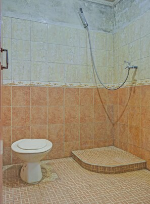 Habitació doble Deluxe | Bany | Dutxa, tovalloles i paper higiènic
