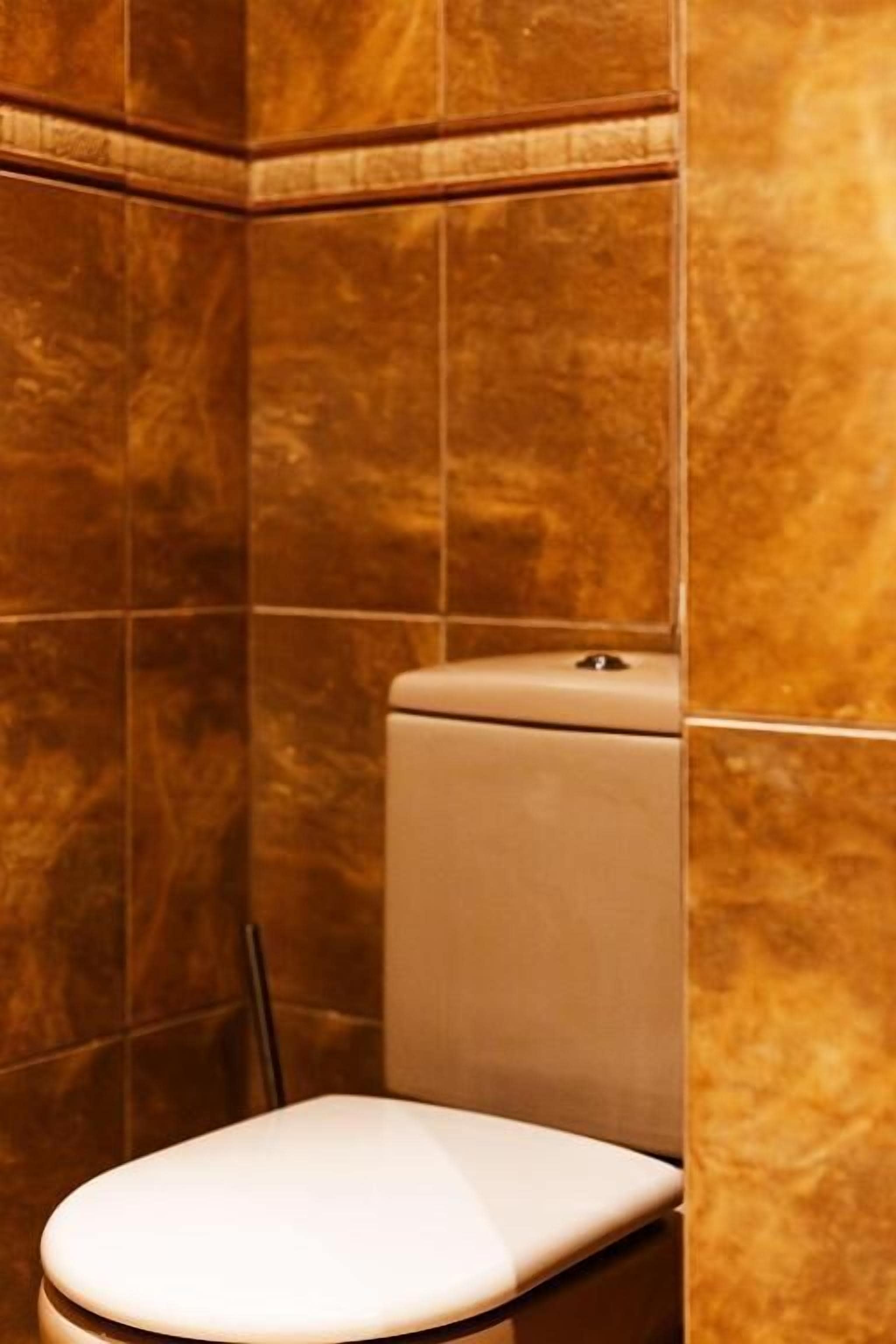 Une salle de bain avec des toilettes et un espace douche.