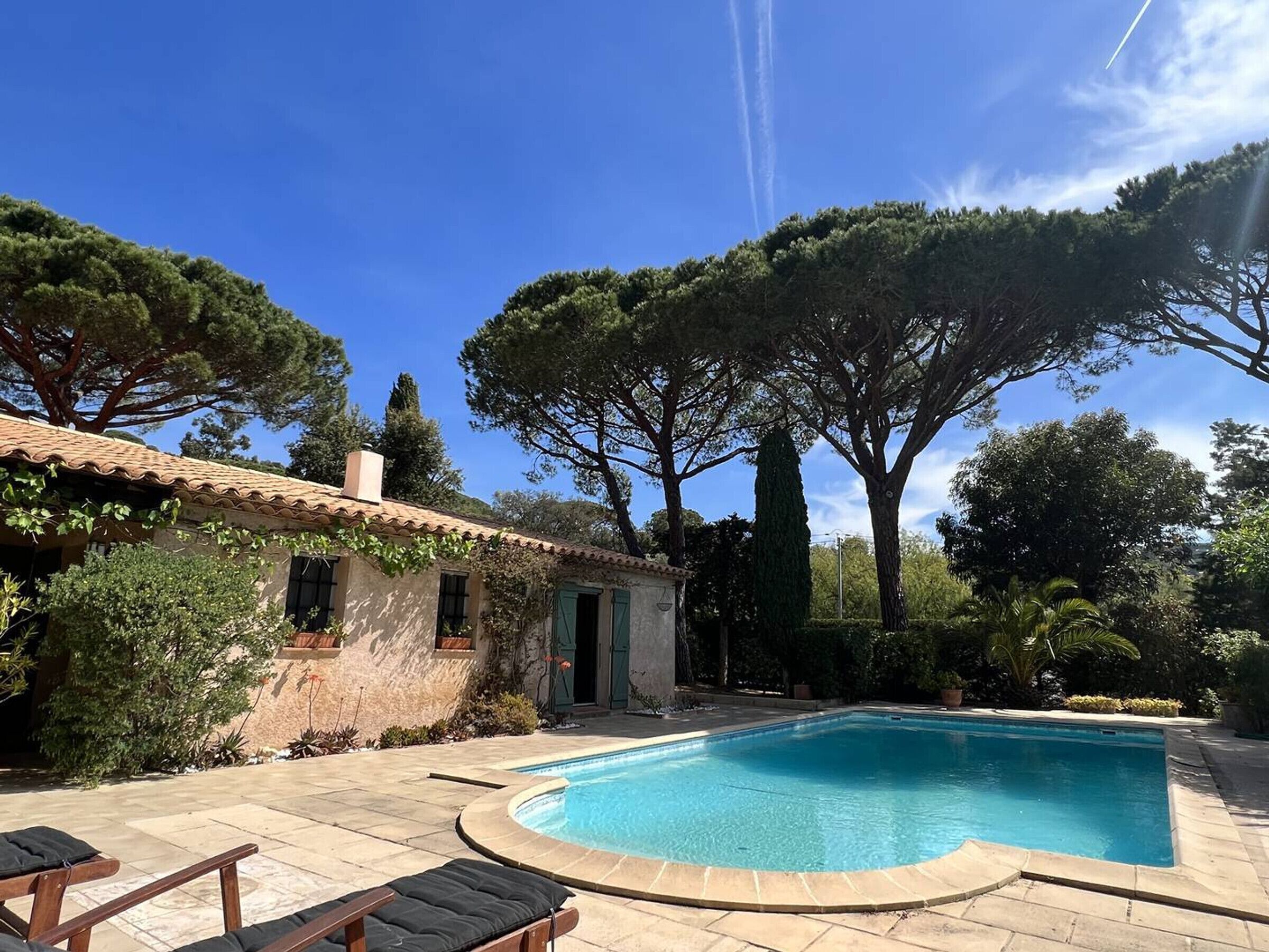 A pool area with a stone patio, a small building with a tiled roof, and large trees in the background.