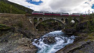 Transport til/fra togstasjon