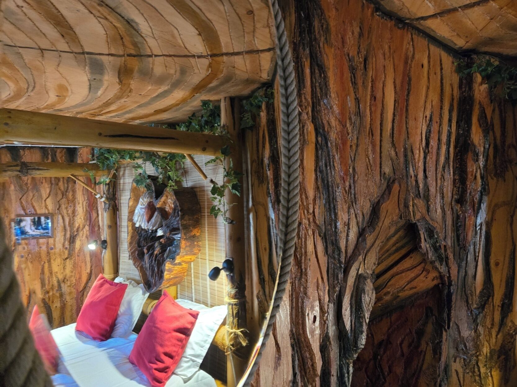 特色装修、办公桌、遮光窗帘、熨斗/熨板