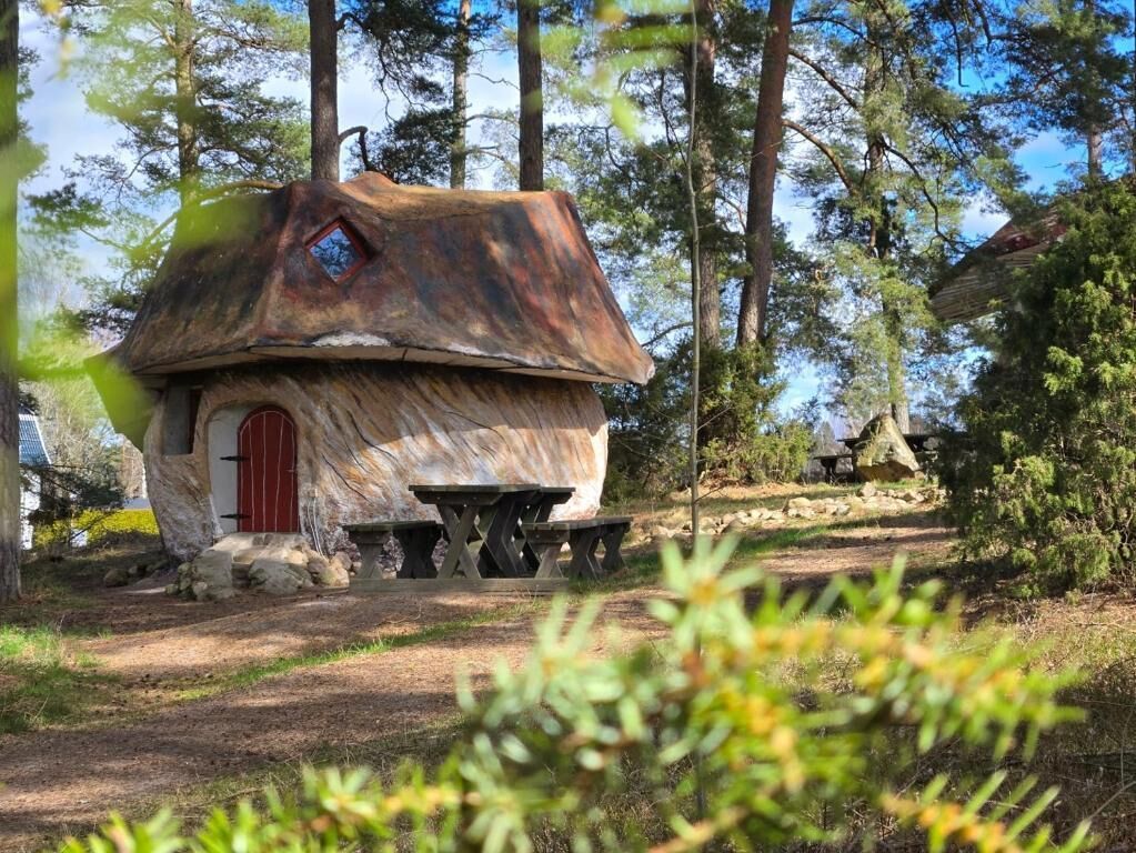 Trädkoja för familj | Individuell inredning, skrivbord och mörkläggningsgardiner