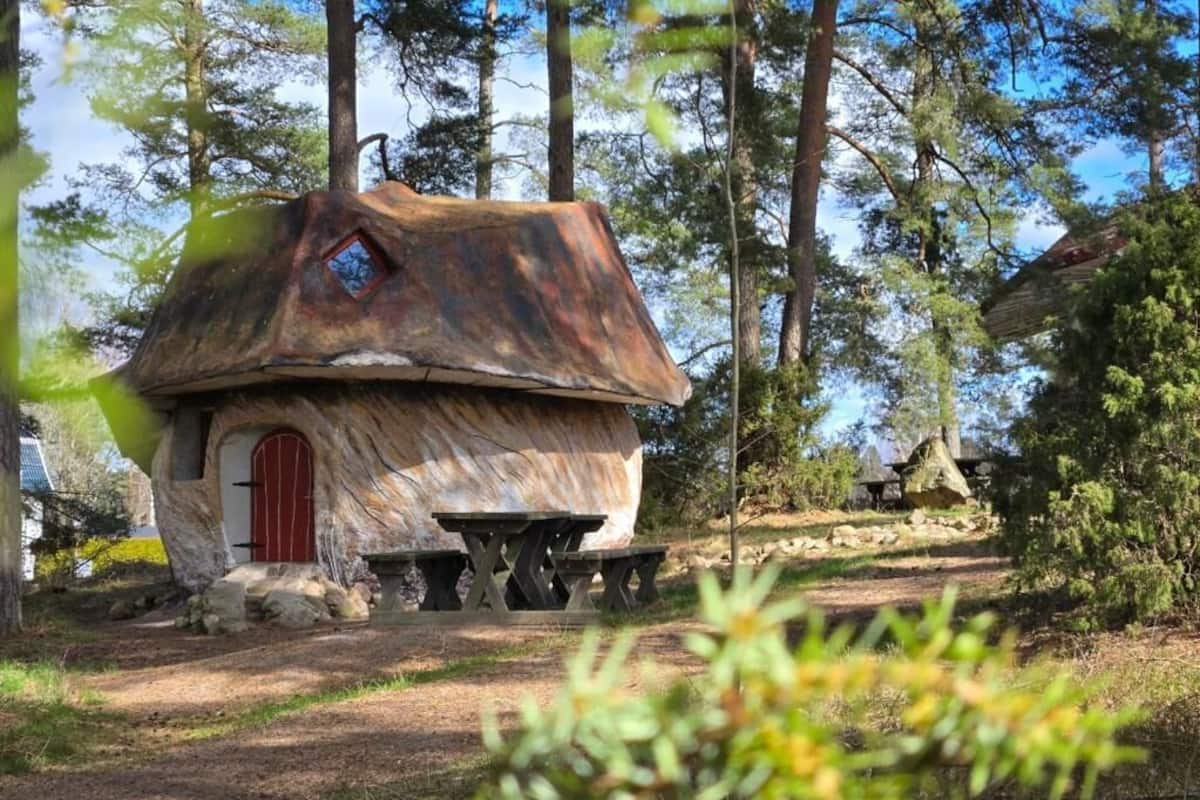 Family Tree House | Individually decorated, desk, blackout curtains, iron/ironing board