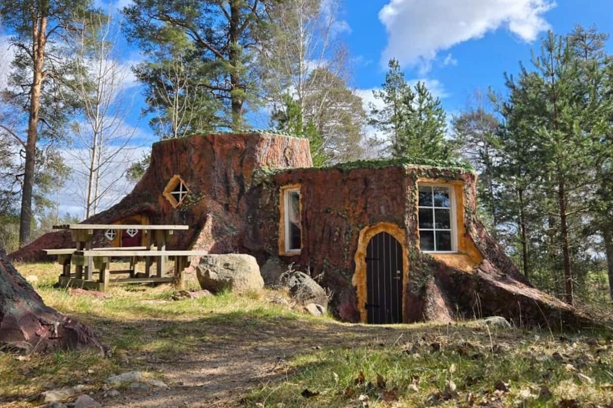 Tree House | Individually decorated, desk, blackout curtains, iron/ironing board