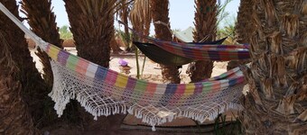 Jardin D'hôtes Privatif Dans le Désert