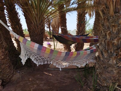 Jardin D'hôtes Privatif Dans le Désert